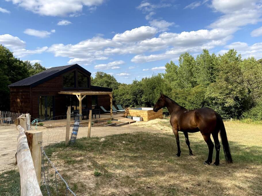 ברסויר La Cabane Du Petit Moulin מראה חיצוני תמונה